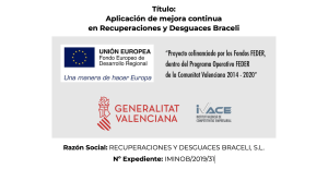 Subvención IVACE Grupo Braceli
