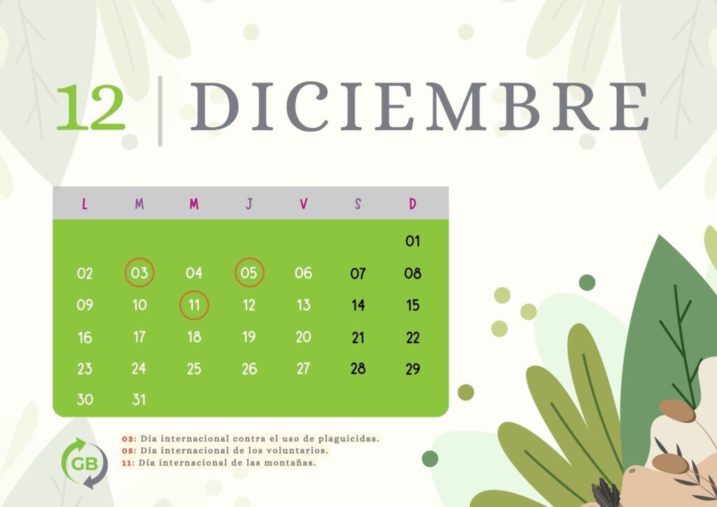Mes de diciembre en el calendario de sostenibilidad 2024 y medioambiente del Grupo Braceli.