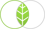 Logotipo de descarga del dossier de servicios de gestión de residuos del Grupo Braceli.